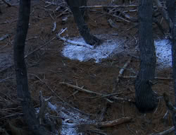 extant_XenaWarriorPrincess_6x08-TheRing_0162