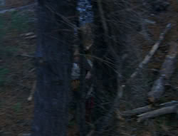 extant_XenaWarriorPrincess_6x08-TheRing_0178
