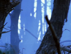 extant_XenaWarriorPrincess_6x08-TheRing_0200