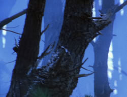 extant_XenaWarriorPrincess_6x08-TheRing_0201