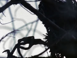 extant_XenaWarriorPrincess_6x08-TheRing_0224