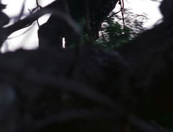 extant_XenaWarriorPrincess_6x08-TheRing_0236