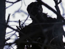 extant_XenaWarriorPrincess_6x08-TheRing_0247