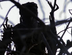extant_XenaWarriorPrincess_6x08-TheRing_0251