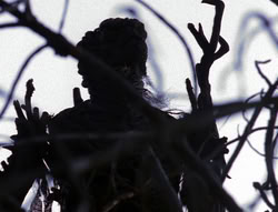 extant_XenaWarriorPrincess_6x08-TheRing_0253