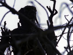 extant_XenaWarriorPrincess_6x08-TheRing_0254