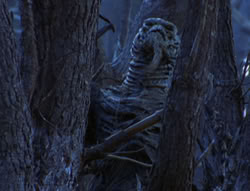 extant_XenaWarriorPrincess_6x08-TheRing_0464