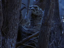 extant_XenaWarriorPrincess_6x08-TheRing_0465
