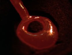 extant_XenaWarriorPrincess_6x08-TheRing_0591