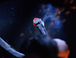 extant_XenaWarriorPrincess_6x08-TheRing_0606