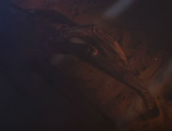 extant_XenaWarriorPrincess_6x08-TheRing_0811