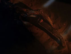 extant_XenaWarriorPrincess_6x08-TheRing_0813