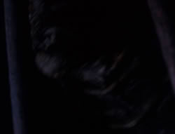 extant_XenaWarriorPrincess_6x08-TheRing_0978