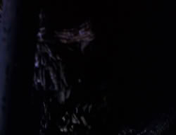 extant_XenaWarriorPrincess_6x08-TheRing_0996