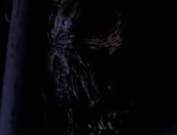 extant_XenaWarriorPrincess_6x08-TheRing_0997
