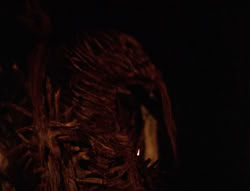 extant_XenaWarriorPrincess_6x08-TheRing_1195