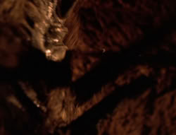 extant_XenaWarriorPrincess_6x08-TheRing_1238