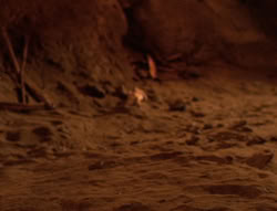 extant_XenaWarriorPrincess_6x08-TheRing_1241