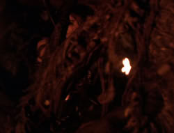 extant_XenaWarriorPrincess_6x08-TheRing_1244