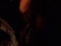 extant_XenaWarriorPrincess_6x08-TheRing_1258