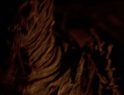 extant_XenaWarriorPrincess_6x08-TheRing_1261