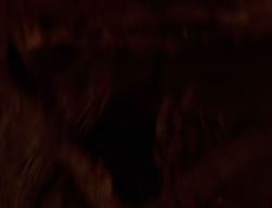 extant_XenaWarriorPrincess_6x08-TheRing_1277