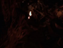 extant_XenaWarriorPrincess_6x08-TheRing_1286