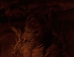 extant_XenaWarriorPrincess_6x08-TheRing_1289