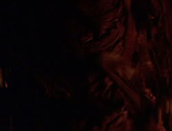 extant_XenaWarriorPrincess_6x08-TheRing_1319