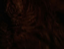 extant_XenaWarriorPrincess_6x08-TheRing_1459