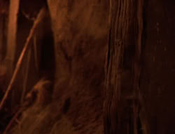 extant_XenaWarriorPrincess_6x08-TheRing_1466