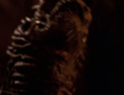 extant_XenaWarriorPrincess_6x08-TheRing_1581
