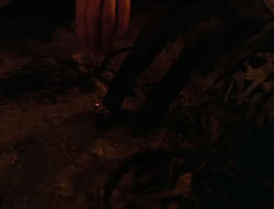 extant_XenaWarriorPrincess_6x08-TheRing_1628