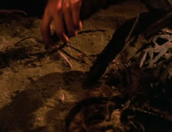 extant_XenaWarriorPrincess_6x08-TheRing_1629