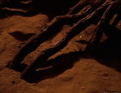 extant_XenaWarriorPrincess_6x08-TheRing_1649