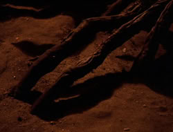 extant_XenaWarriorPrincess_6x08-TheRing_1650