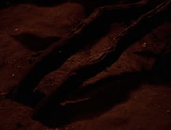 extant_XenaWarriorPrincess_6x08-TheRing_1654