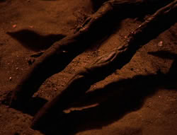 extant_XenaWarriorPrincess_6x08-TheRing_1655