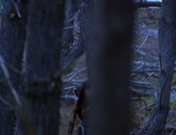 extant_XenaWarriorPrincess_6x08-TheRing_1686