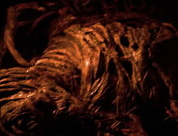 extant_XenaWarriorPrincess_6x08-TheRing_1740