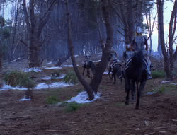 extant_XenaWarriorPrincess_6x08-TheRing_2007