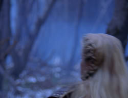 extant_XenaWarriorPrincess_6x08-TheRing_2011