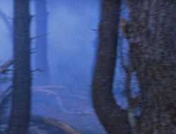 extant_XenaWarriorPrincess_6x08-TheRing_2028