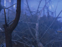extant_XenaWarriorPrincess_6x08-TheRing_2031