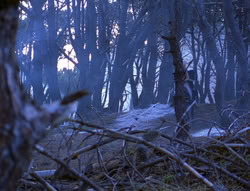 extant_XenaWarriorPrincess_6x08-TheRing_2067