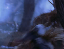 extant_XenaWarriorPrincess_6x08-TheRing_2080