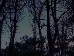 extant_XenaWarriorPrincess_6x08-TheRing_2100