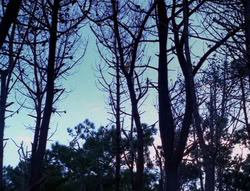 extant_XenaWarriorPrincess_6x08-TheRing_2101