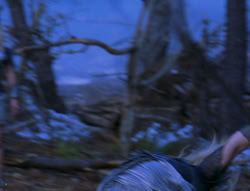 extant_XenaWarriorPrincess_6x08-TheRing_2127
