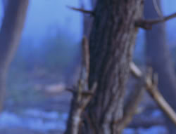 extant_XenaWarriorPrincess_6x08-TheRing_2129